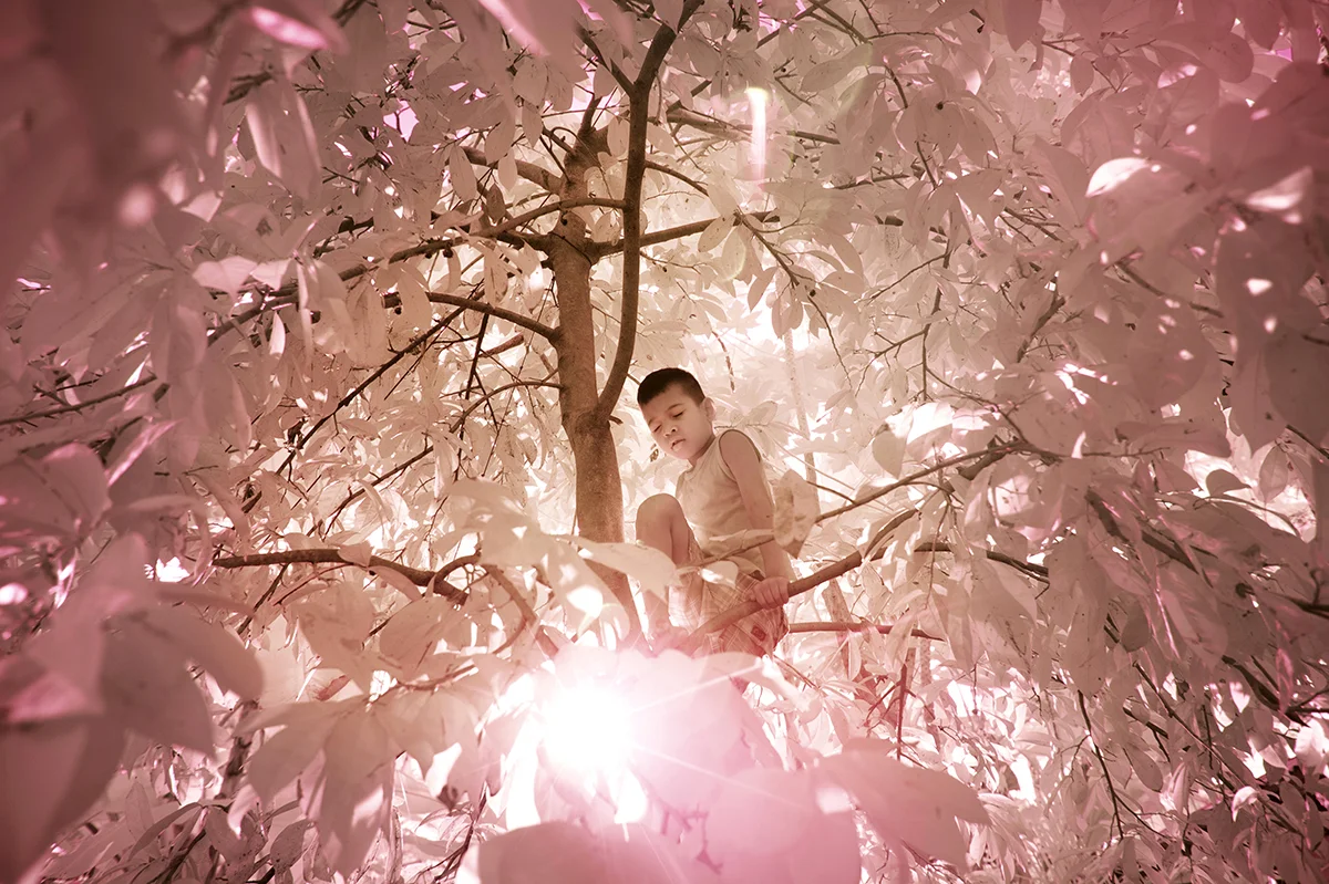 WIS Island of the Colorblind/Application — NOOR